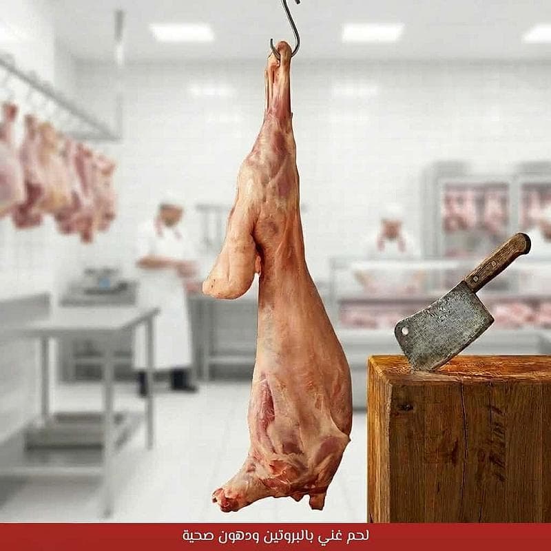 خروف نعيمي كشميري مبرد وسط (9-10 كيلو)